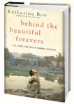 Behind_the_Beautiful_Forevers_(novel)